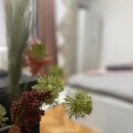 Bonaca Apartment
