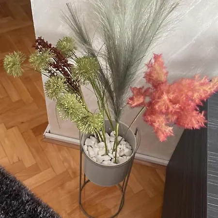 Apartment Bonaca Nis